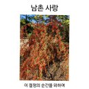 경남 기독문인회 청지기, 김은경 전도사 이미지