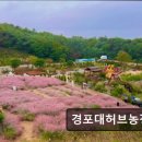 경포대오토캠핑장 | 강릉 캠핑장 경포대허브농장 강릉 바닷가 자연 속 쉼터