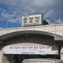 국짱 이미지