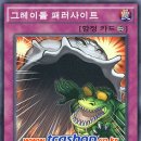 그레이디멘션 이미지