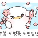 늘조은공인중개사사무소 이미지