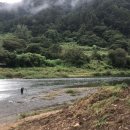 꽃여울강변 이미지