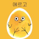 에르고 이미지