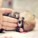 경성대부경대(동명대) 지하철역 이미지