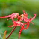 기풍농장 이미지