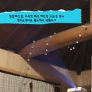 금사리빨간지붕집