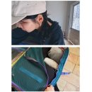 신세계리사이클링 | 코토팍시 Allpa 35L 백팩 솔직 사용후기｜캐리어 없이 베트남 걷기 여행