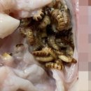 하림통닭 이미지