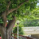 언양불고기식당 이미지