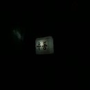 연미새시장 이미지