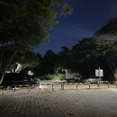 침산정 | [대구 야경 야간 드라이브 산책 가볼만한 곳 : 침산공원 벚꽃계단 침산정]