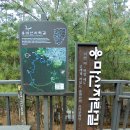 용마산 자락길 코스 네이버블로그