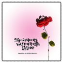 오늘은 선물 이미지