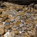 루피의 보물섬 이미지