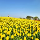 안중농업협동조합오성지점 이미지