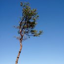 혜진농장 이미지