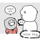마이부 이미지