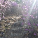 제2금강산 등산로입구 이미지