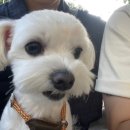 츄플러스(동탄센트럴파크점) 이미지