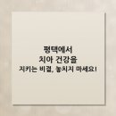 연세고덕에스치과의원 | 평택에서 치아 건강을 지키는 비결, 놓치지 마세요!
