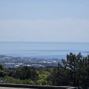 대지부동산공인중개사사무소 | 제주 서귀포 콘도형 부동산｜녹지헬스케어타운 복층 오션뷰 급매