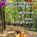 11월 13일 행복한 수요일 개 🐕 띠방 아침인사 🐕 이미지