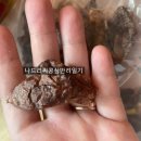 하누까까 이미지