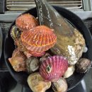 평택조개구이무한리필 | 평택 조개구이 무한리필 맛집, 가리비·전복에 삼겹살까지 배 터지게 먹은 후기