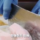 마시멜로 이미지