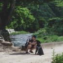 금호동주민센터 | 금호동 동물병원, 윤ㅇㅁ 수의사가 있는 이 병원 추천. 예약폭주할듯