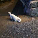 원펜션 | 주말 10만원대 가성비 가평 독채펜션 내돈내산후기 / 열두달스파펜션 106호