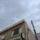 통큰딱따구리 네이버블로그