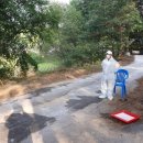 민등농장 이미지