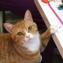 주주동물병원 이미지