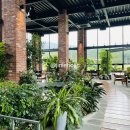 그린보드 이미지