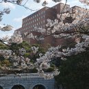 월영동296 이미지