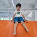 펀 태권도장 이미지