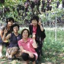 최씨농장 이미지