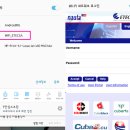 골목을 누비는 물고 | 쿠바 여행, 아바나 번화가 오비스포 거리 &amp; 에텍사 데이터 구입 : 올드 아바나 워킹 투어 2탄