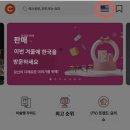 캐치글로벌