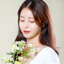 궁전사진관 이미지