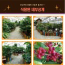 농업회사법인 정원 이미지