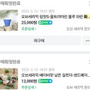 내돈내산 토분 구매 후기 / 토분 구매싸이트...스튜디오 / 자르디네 토분 / 오브세라믹 토분 / 아뜰리에...