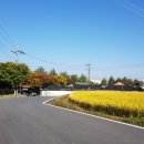 신동아양봉산업 이미지