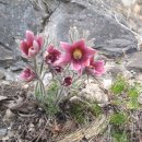 대촌마을(덕우리) 이미지