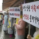 노점상인연합회 네이버블로그