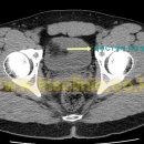 엘앤에스비뇨기과의원 이미지