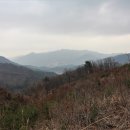 대득목장 이미지