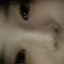 얼루어드