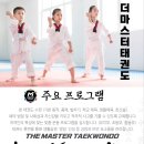 명지 키즈 태권도 이미지